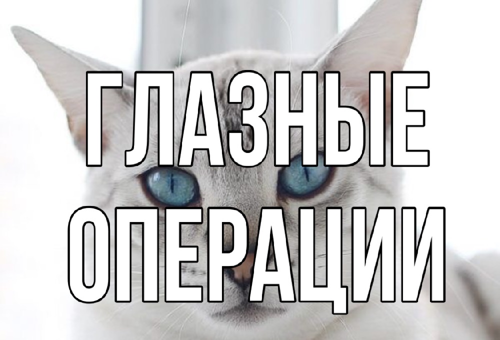 Показания для операции на глазах у кошек