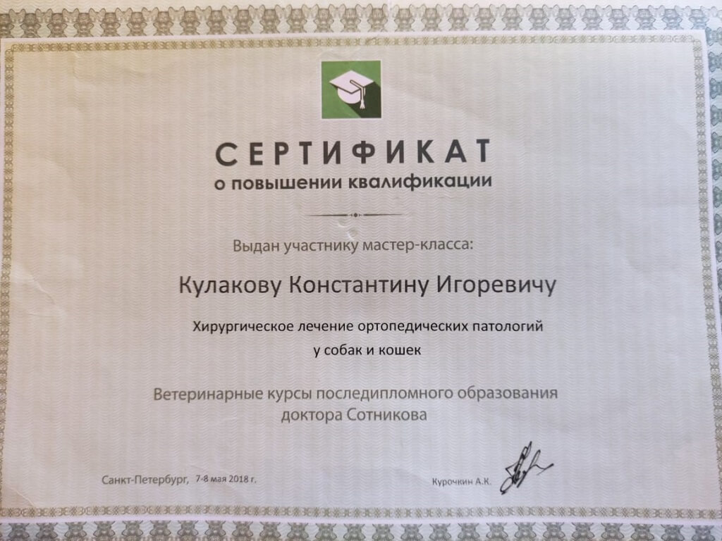 kulakov_sertif_6.jpg