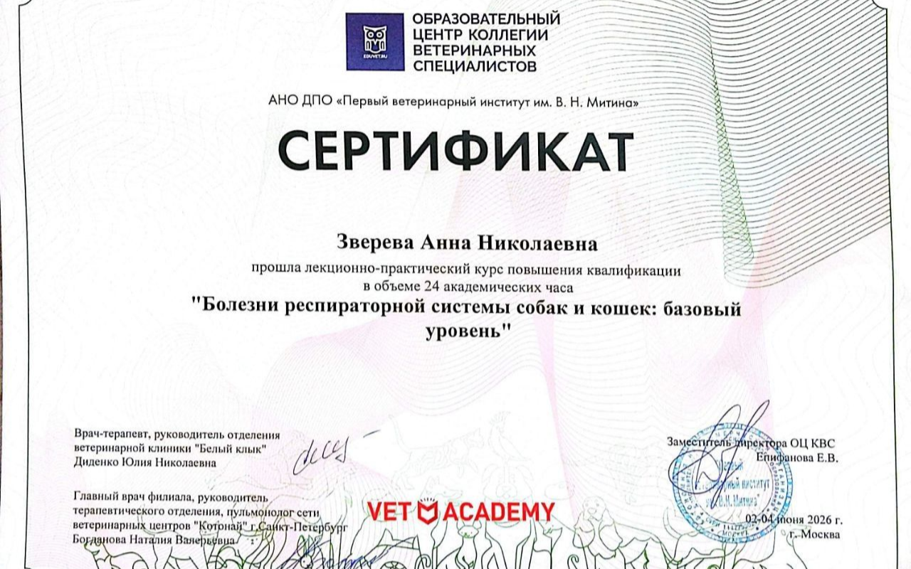 Новость зверева 2.png