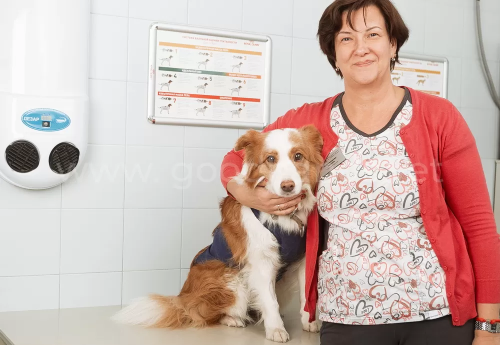 Первичный прием в ветеринарной клинике «в Добрые Руки»
