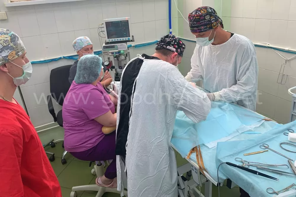 Хирургия и ортопедия в ветеринарной клинике #вДобрыеРуки