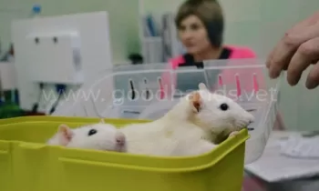 Лечение экзотических животных в ветеринарной клинике #вДобрыеРуки