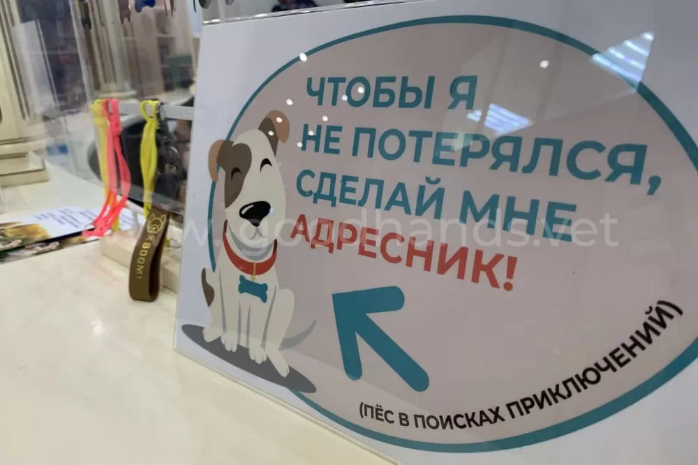 Аптека и зоомагазин в ветеринарной клинике #вДобрыеРуки