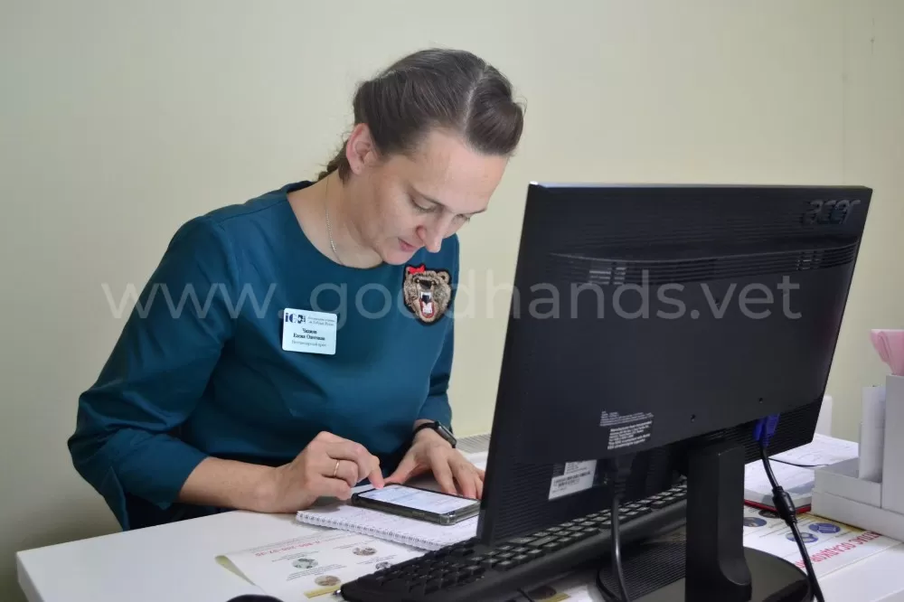 Консультация онлайн в ветеринарной клинике #вДобрыеРуки