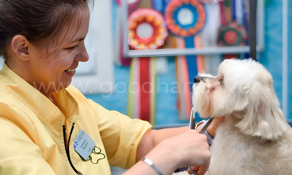 Стрижка собак и кошек в ветеринарной клинике «в Добрые Руки»