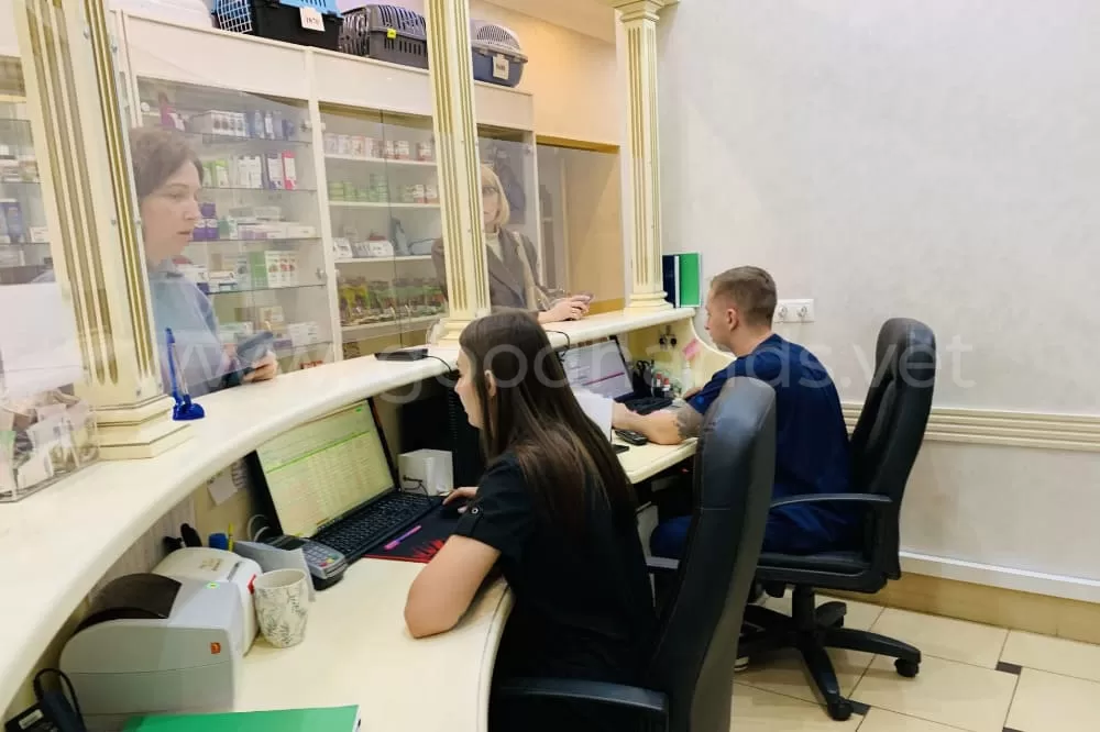 Аптека и зоомагазин в ветеринарной клинике #вДобрыеРуки
